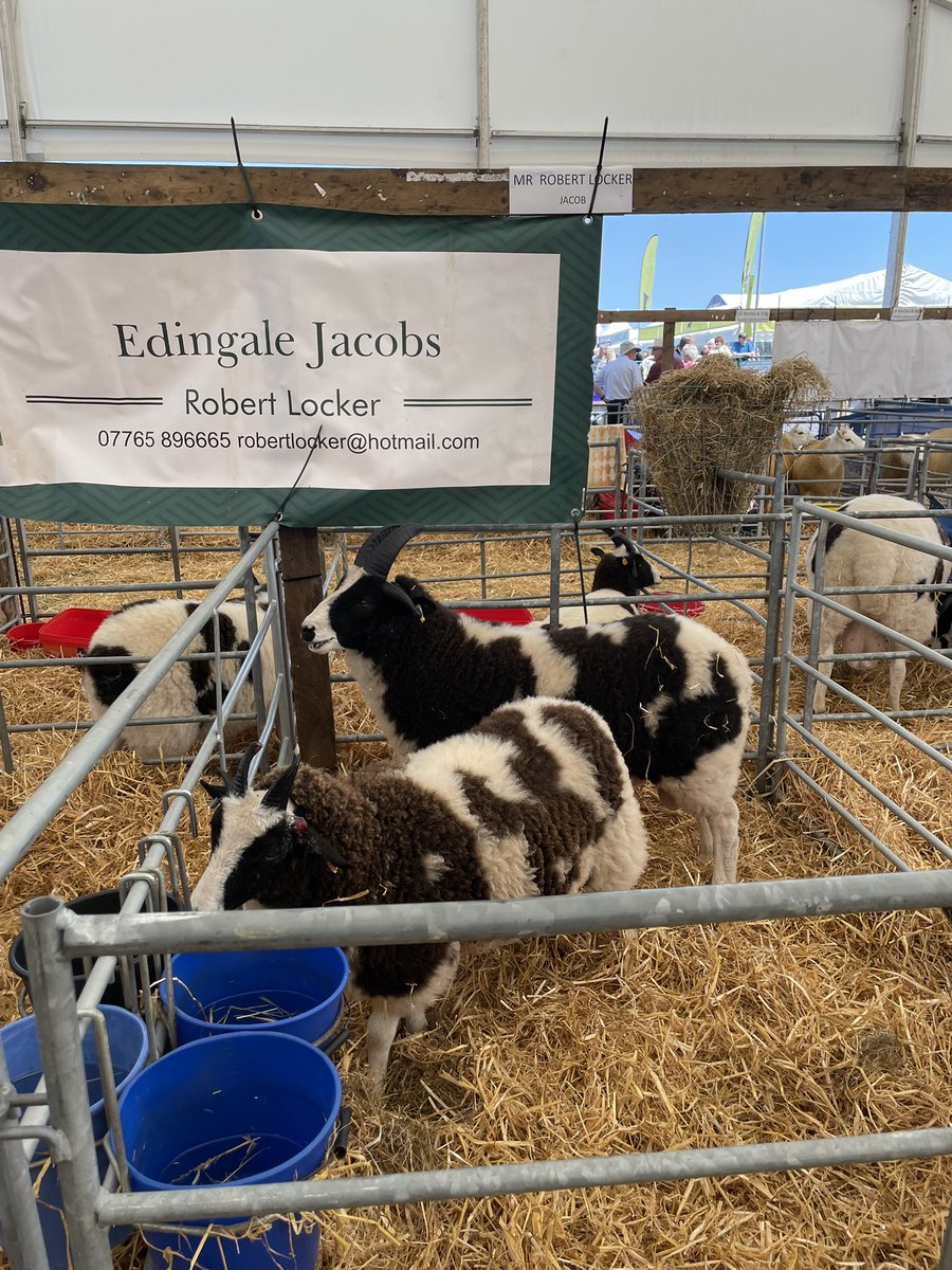 Royal Highland Show 2025 💚💜

Great day out for our senior pupils to experience everything Scotland has to offer, including cooking demonstrations, horse jumping, food tasting, lots of animals and plenty more!

Lots of happy faces &amp; plenty of sun ☀️