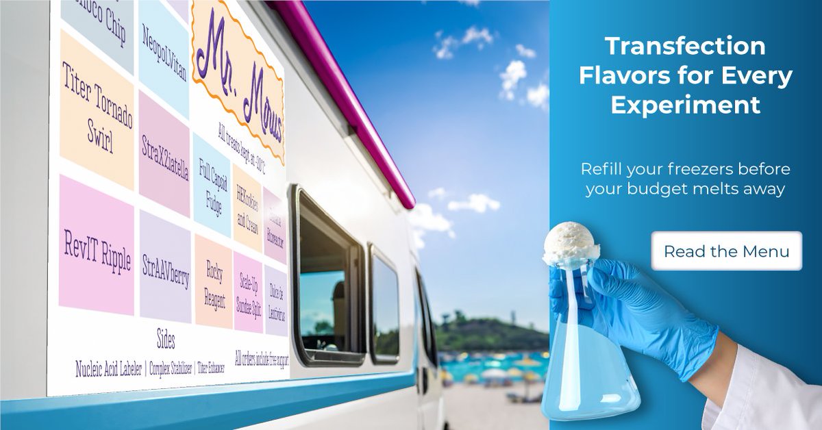 What flavor of transfection treat are you standing in line for during adult swim?

End-of-fiscal-year budget? We've got the perfect way to spend it: on cool, reliable reagents that deliver sweet results.

mirusbio.com/discovery-rese…