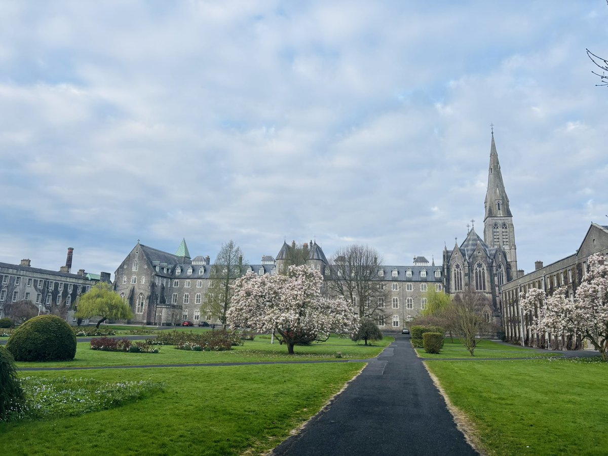 Katheryn Aymerich tweet media