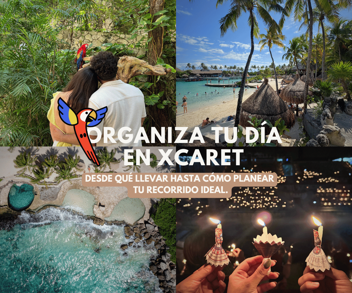 XCExpedition's tweet photo. ¿Ya tienes todo listo para tu visita a @Xcaretpark? 🦜 En este #BlogXcaret te dejamos una guía con tips para aprovechar al máximo tu día en el paraíso. 

👉🏻 Lee aquí:  https://t.co/CRwvZFsLkg https://t.co/ssn0iCMrlm