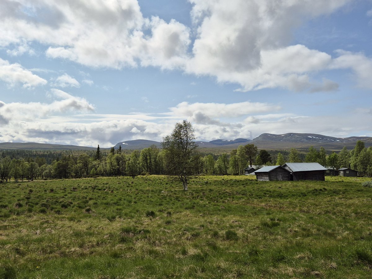 eperjon's tweet image. Lite kyligt men väldigt vackert i Grövelsjön. Måste bara få lite ordning på benen, löpningen går otroligt trögt. Fem och en halv månad sedan min diskbråcksoperation, måste ha tålamod 😀.