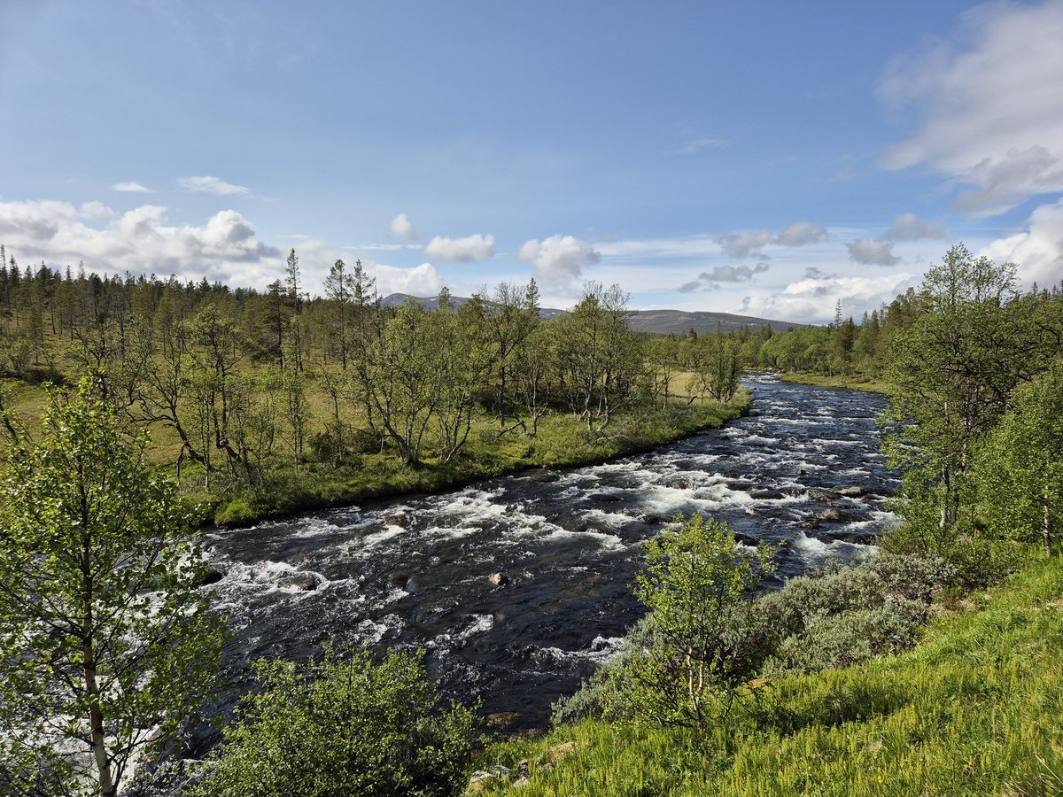 eperjon's tweet image. Lite kyligt men väldigt vackert i Grövelsjön. Måste bara få lite ordning på benen, löpningen går otroligt trögt. Fem och en halv månad sedan min diskbråcksoperation, måste ha tålamod 😀.