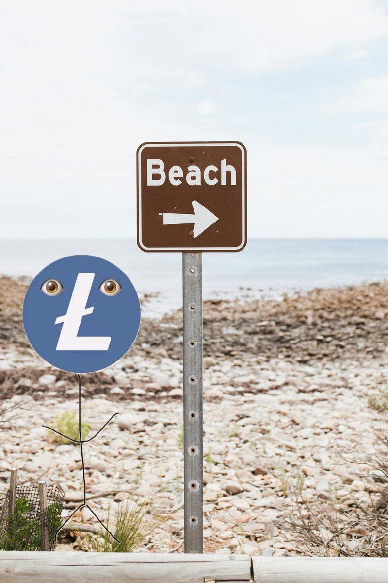 Litecoin tweet media