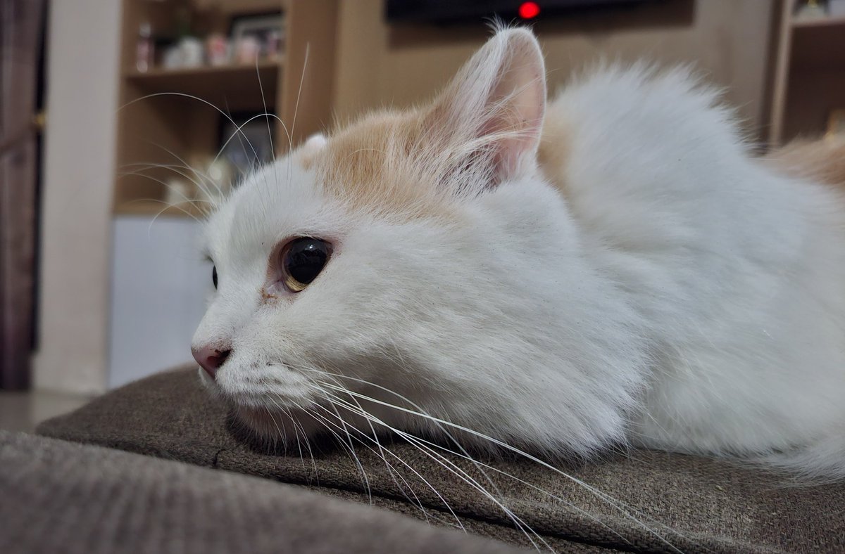 Soobin Resmi Anak UI tweet media