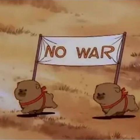 💖 (@twaniimals) on Twitter photo 