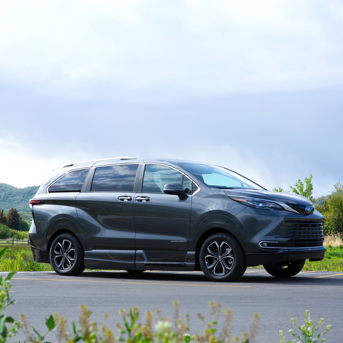 AMS Vans tweet media