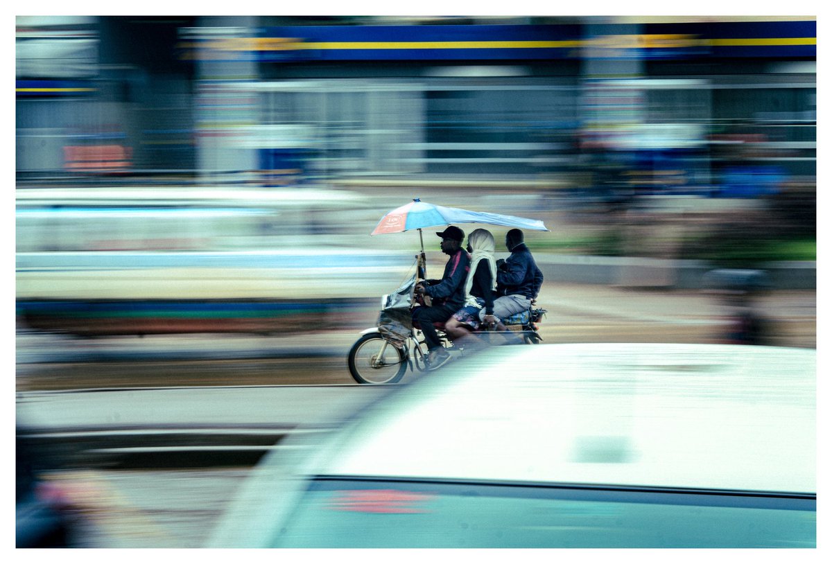 One of the craziest panning shots I have ever taken.  

Kireka | 2024