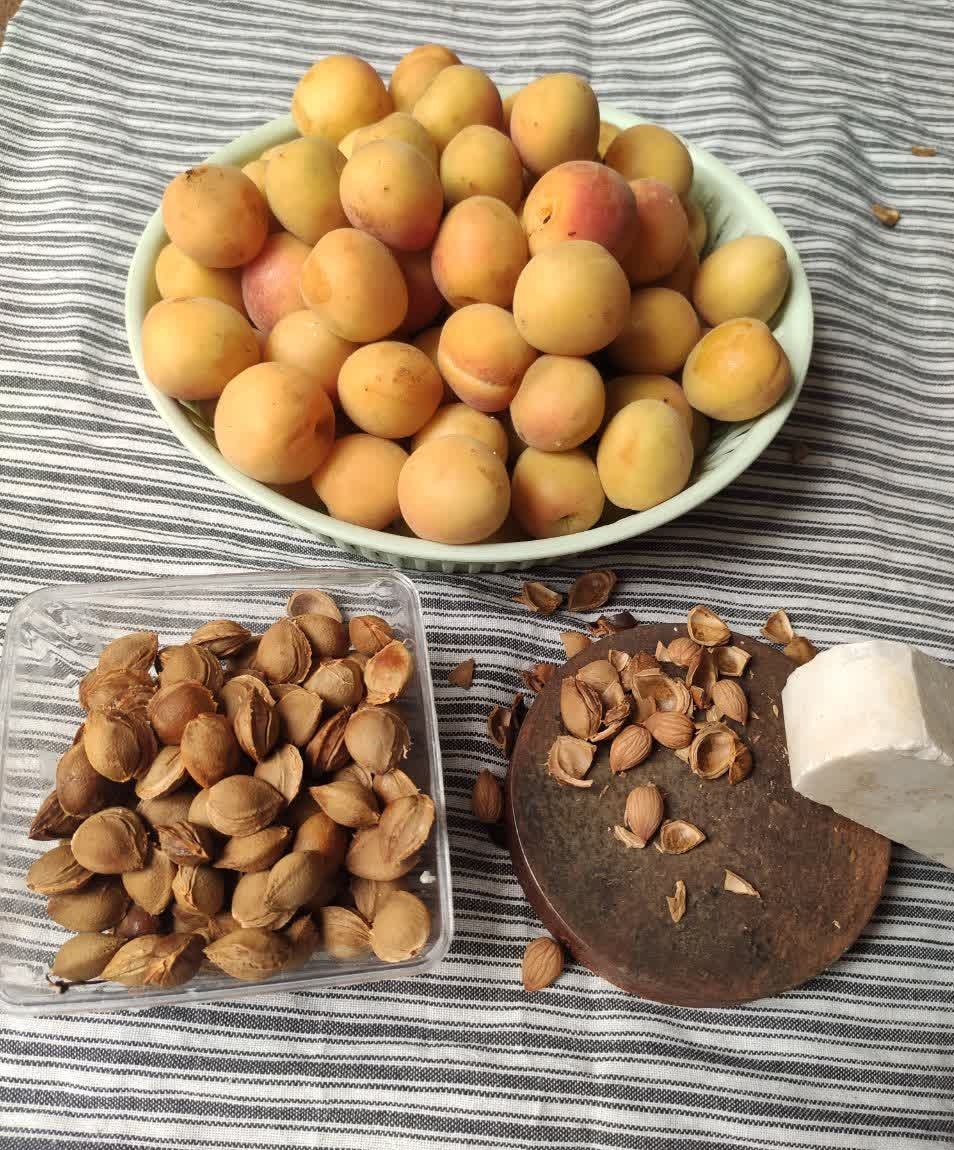 اینجا ایران است!😍

آقای ترامپ !
 ما از هسته‌های زردآلو نمی‌گذریم  
بعد از انرژی هسته‌ای بگذریم؟🤣