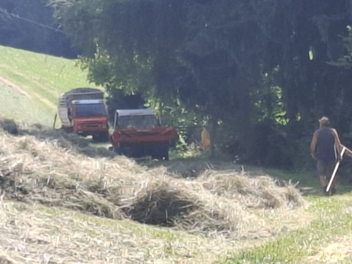 Hooibouw op de #Taseralm Sud-Tirol op 1400 m, met beregening! En dan rechters die vinden dat je in NL alleen maar gewassen zou moeten telen op plaatsen waar je niet hoeft te beregenen.