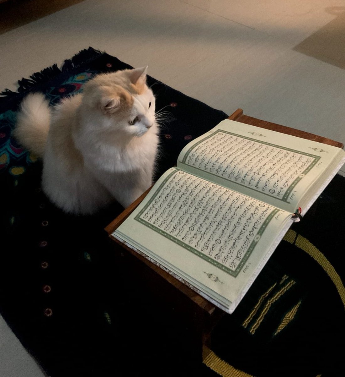 Soobin Resmi Anak UI tweet media