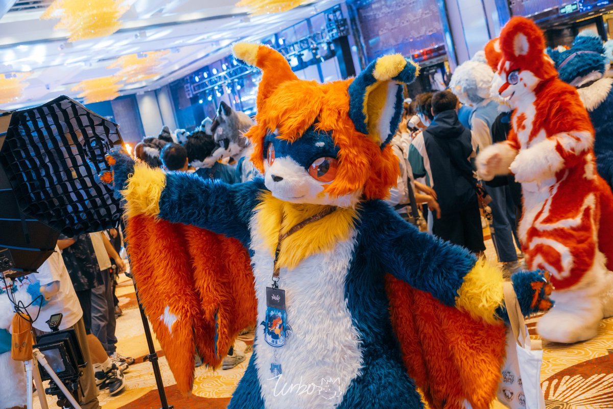 #FursuitFriday 
愿你/妳永远懂得飞翔