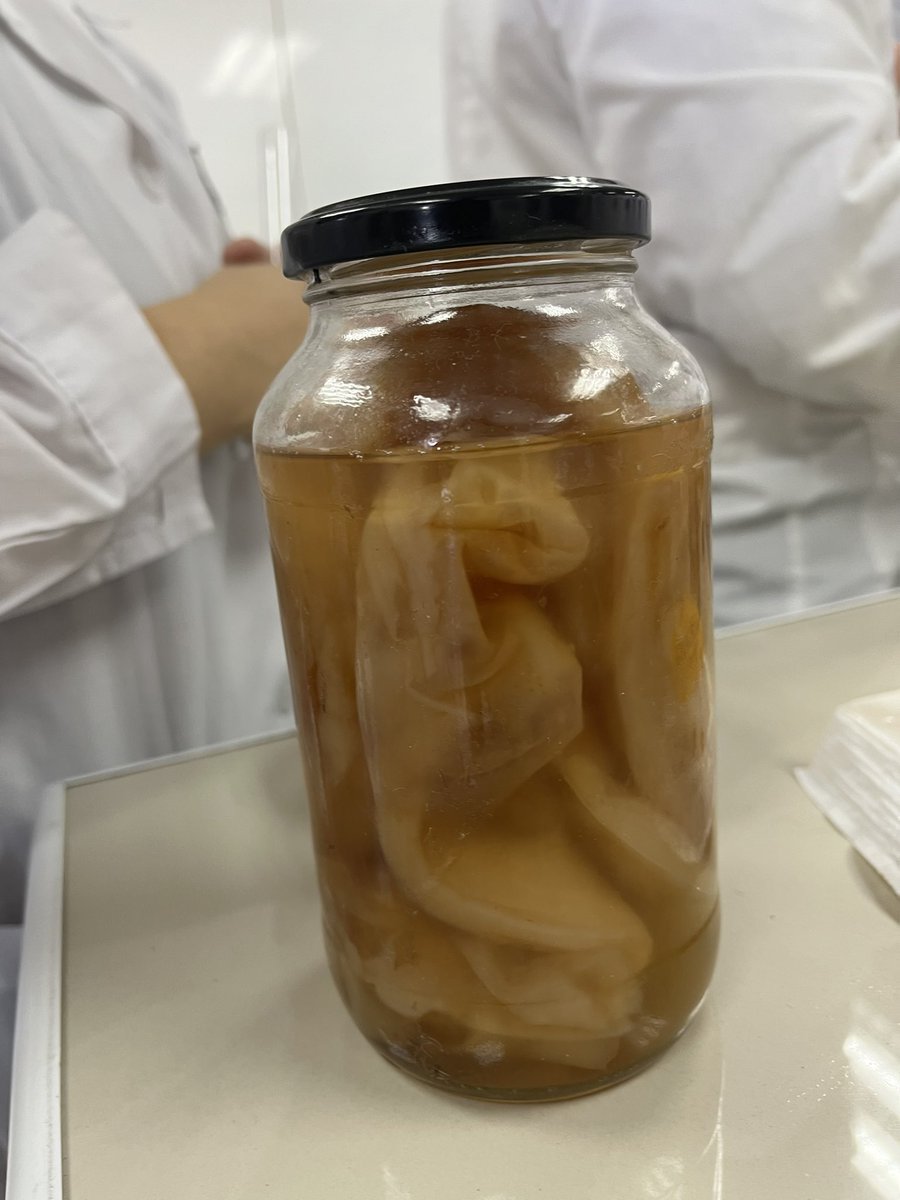 bioBlogia's tweet image. Último trabajo práctico de microbiología para la pedagogía.
Observando y fermentando microorganismos en los alimentos.
#Kefir #Scoby #Kombucha #Salame #Cerveza #Quesos
@CienciasUChile