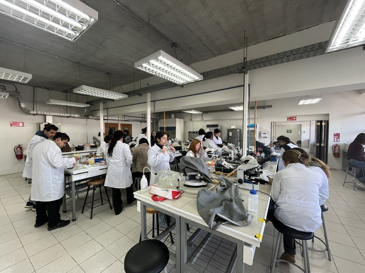 bioBlogia's tweet image. Último trabajo práctico de microbiología para la pedagogía.
Observando y fermentando microorganismos en los alimentos.
#Kefir #Scoby #Kombucha #Salame #Cerveza #Quesos
@CienciasUChile