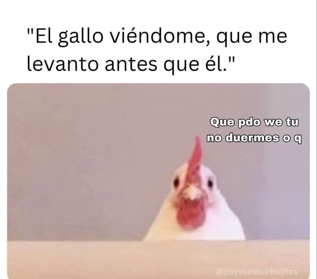 💫La de los Memes SV💫 (@the_memegirlsv) on Twitter photo 