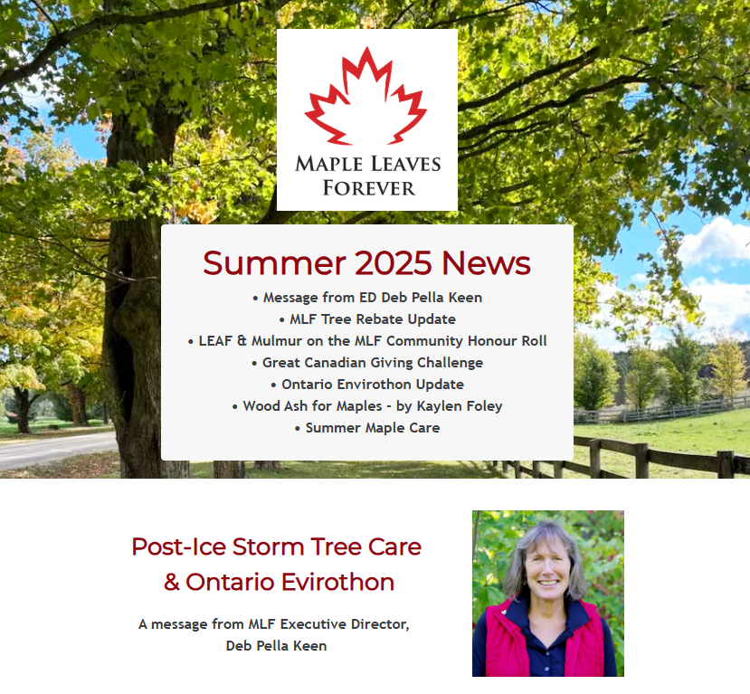 Check out our Summer 2025 Enews for an interesting article on wood ash for maple trees, post ice-storm resources, summer tree care tips, new additions to the Maple Leaves Forever Community Honour Roll and more!
zurl.co/aueUU
Subscribe: zurl.co/SoD5i