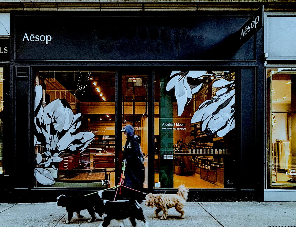 Photograph you pup at <a href="/aesopskincare/">Aesop</a> , 1070 Madison Avenue, this weekend, 6/21-22. To mark the arrival of summer, Aesop warmly invites you to and your canine companion for a complimentary photograph and Pupcakes.