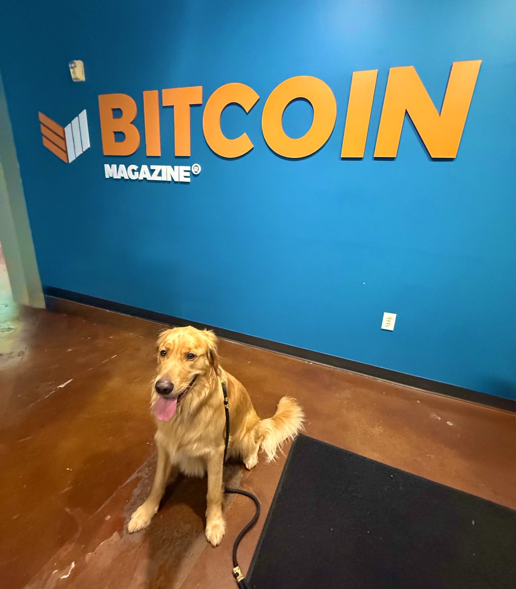 Dogs can buy #Bitcoin too right?