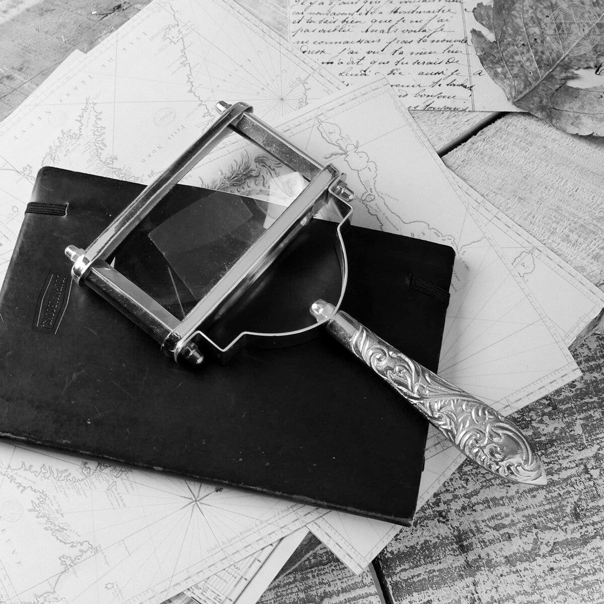 𝐂𝐥𝐚𝐫𝐚 𝐆𝐫𝐚𝐯𝐞𝐬 tweet media