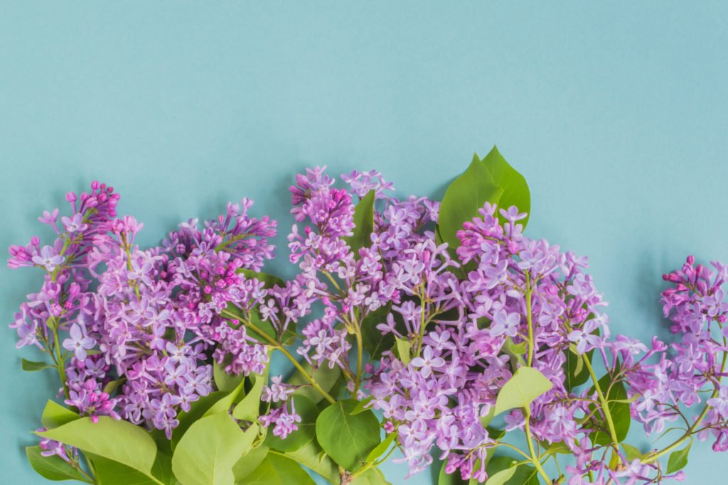 Holistic_Guide's tweet image. There are different types of self-care depending on what time of the year it is, and in this article I talk about self-care tips for the spring and summer seasons.

holisticlifestyleguide.com/self-care-tips…

#selfcare #selfcarepractices #springselfcare #springandsummer