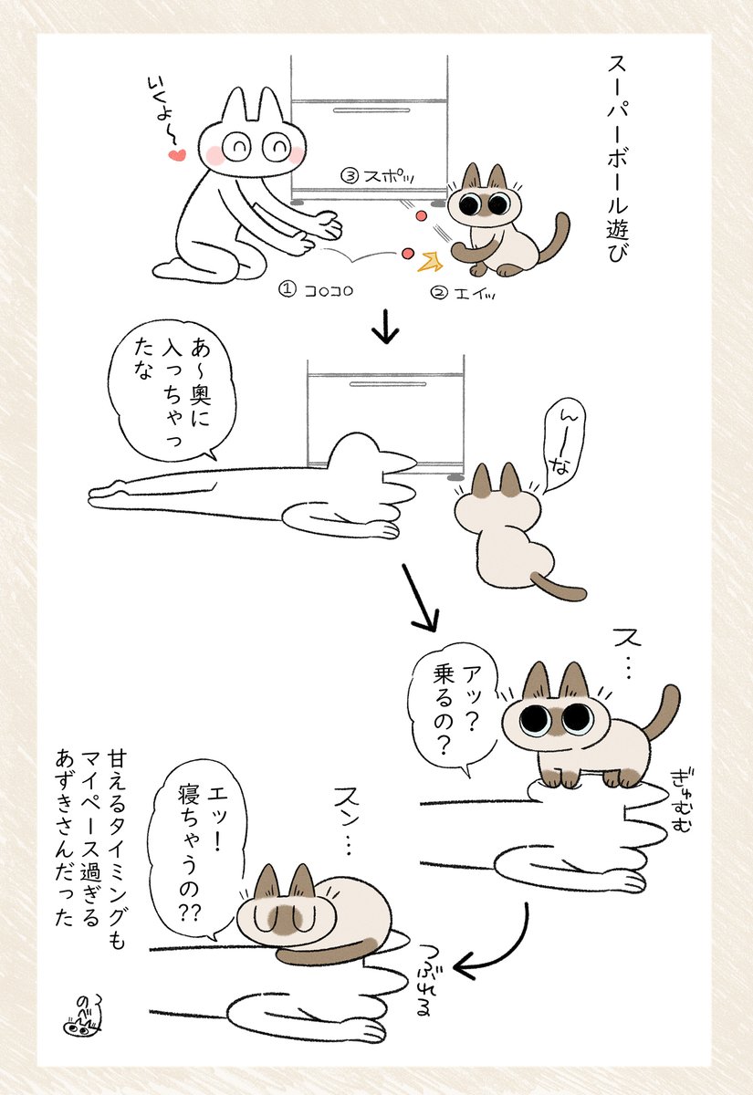 今??? #シャム猫あずきさんは世界の中心 