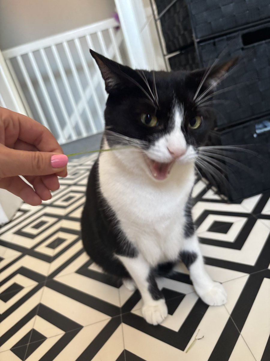 simi🍒 tweet media