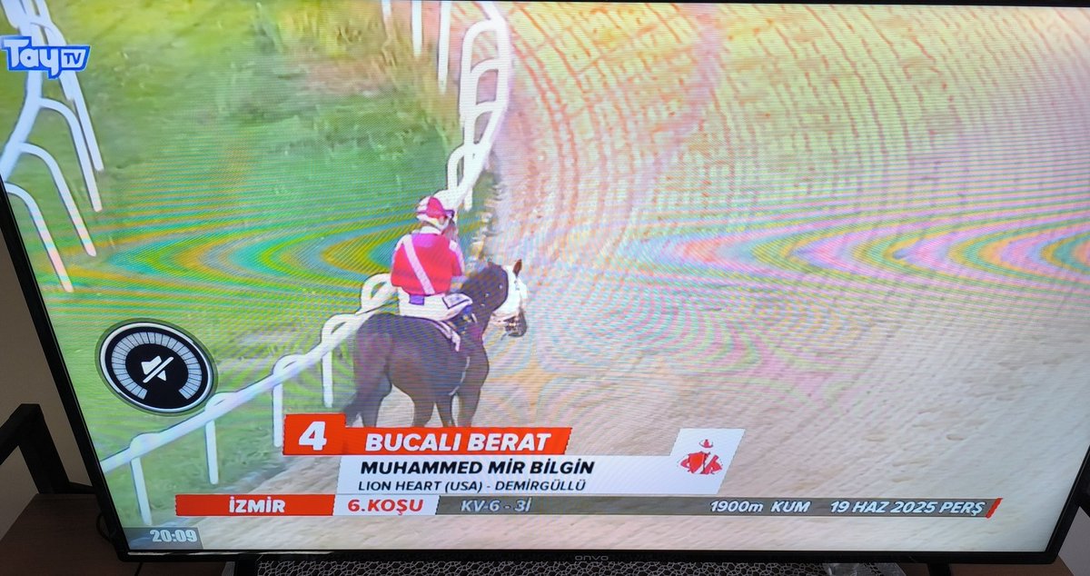 Boşuna kral demiyoruz... yarışı izleyin görün jokeylik nedir...