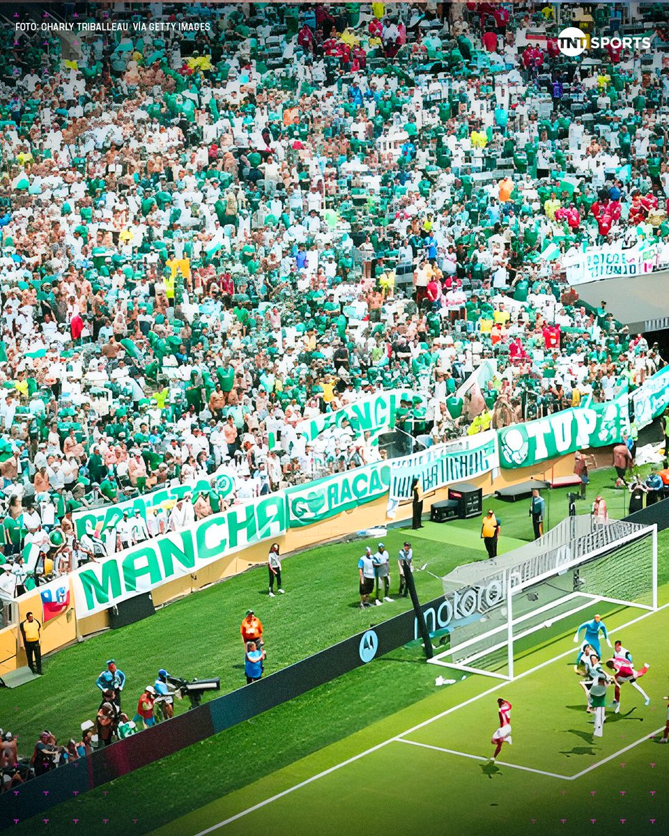 tntsportsmex's tweet image. ¡Increíble el apoyo del Verdão en el #MundialDeClubes! 👏🏆

Definitivamente, Palmeiras no juega solo. 💚