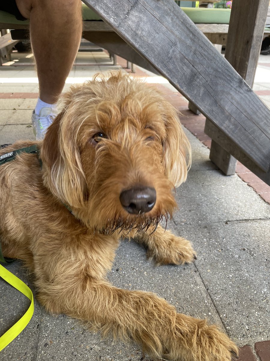 Und alles gemeinsam mit der ⁦<a href="/GucktWilma/">𝔀𝓲𝓵𝓶𝓪</a>⁩ und #lenny