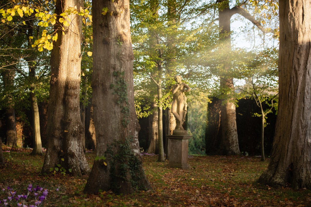 Circle Of Live tweet media