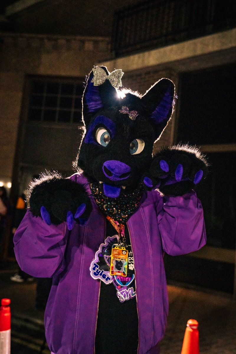 Cuddle with me under the stars✨💜🐾