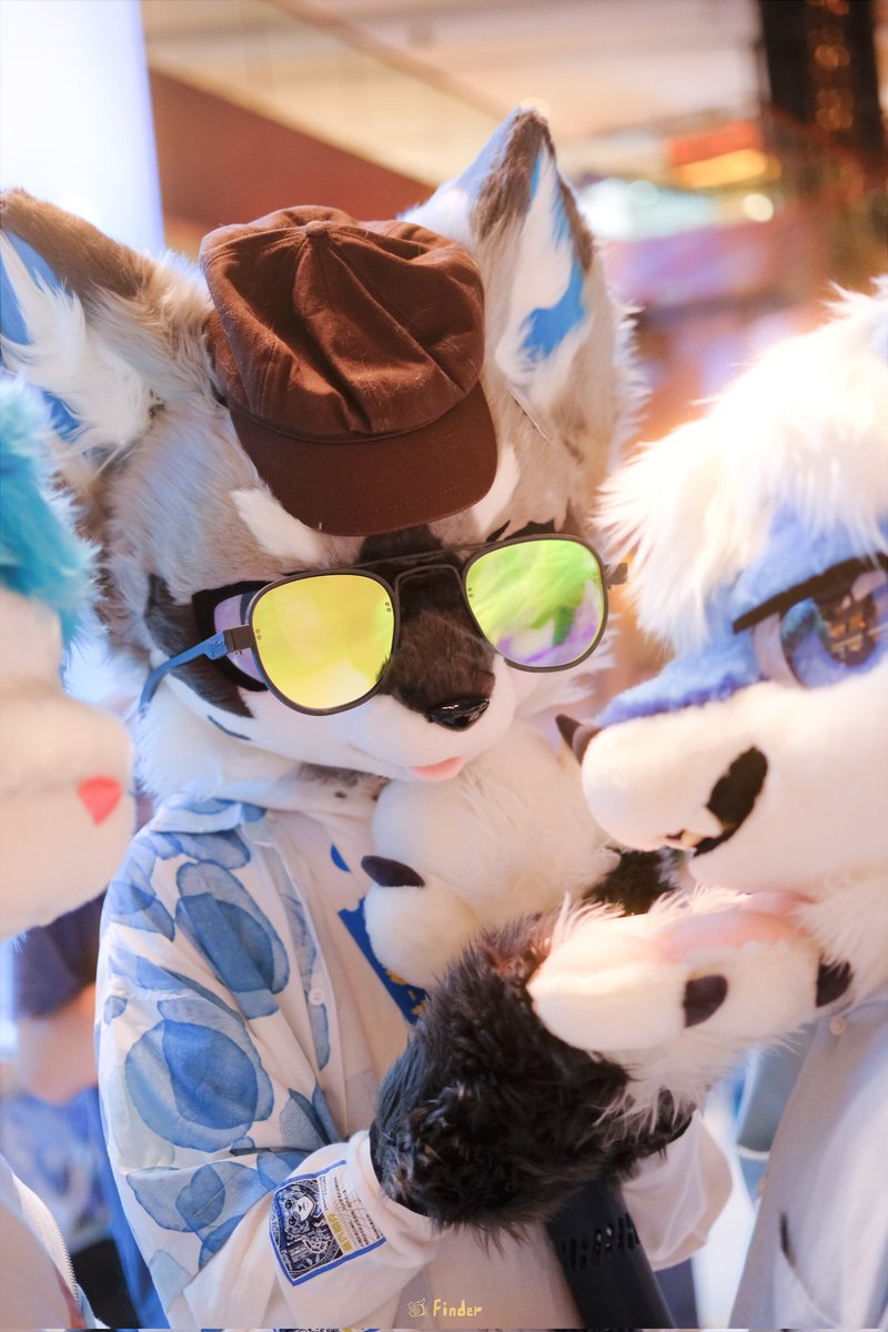 看来找到了重要的证人🔍
with <a href="/Akachi_17/">赤赤</a> 

📷：Finder
#furry #fursuit #FursuitFriday