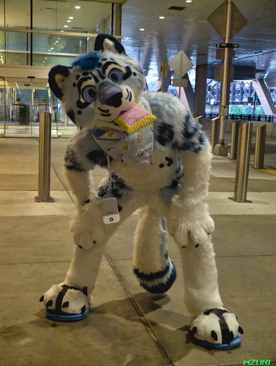 AYO… Anthrocon is in 13 days who am I gonna see there… at AC?! I’ll share my pop tart with for hugs lol😹👀