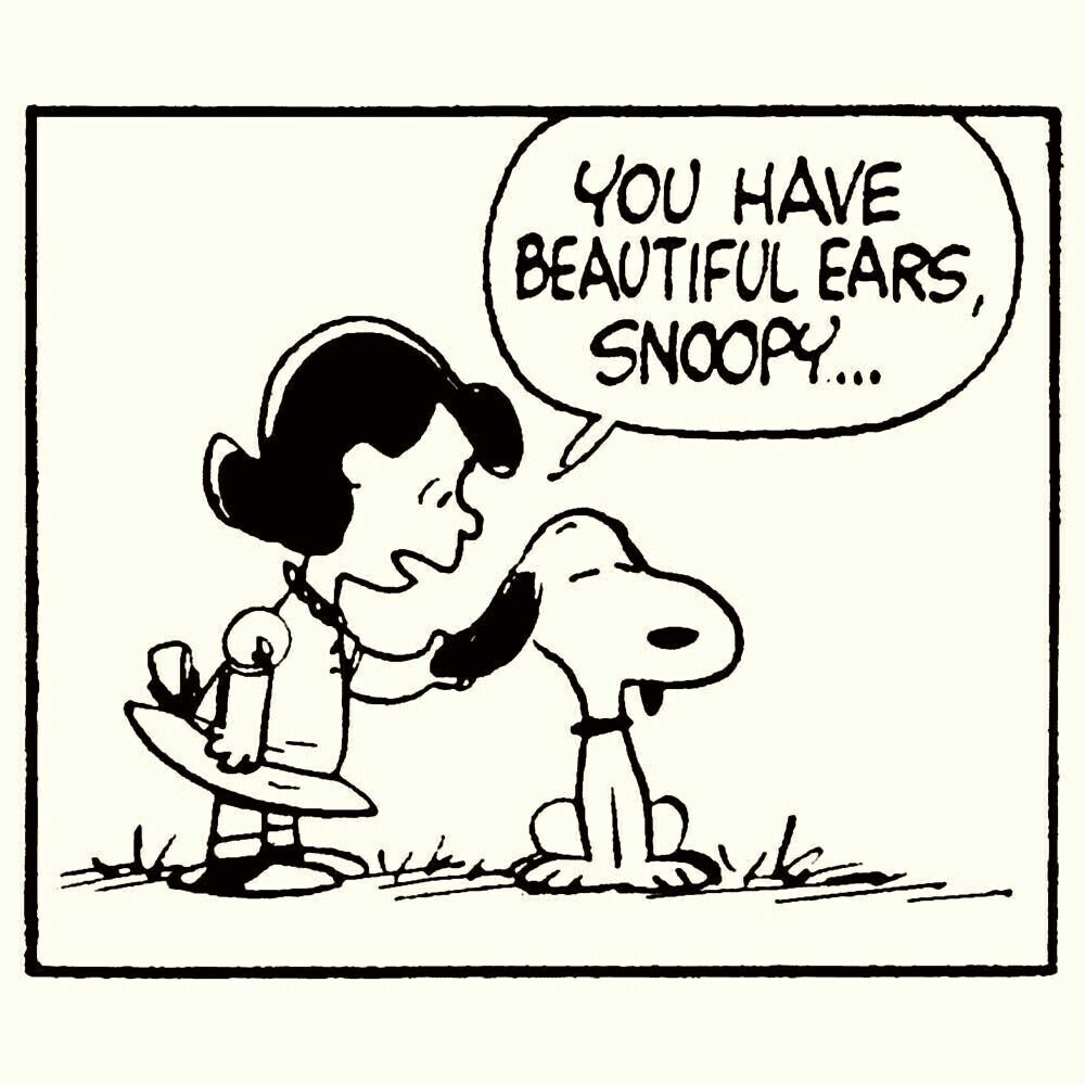 Daily Snoopy (@dailysnoopys) on Twitter photo 