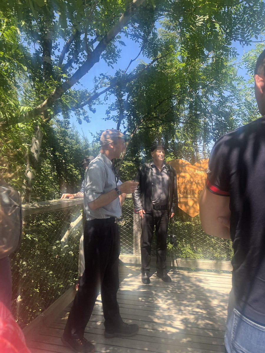 UCDHort's tweet image. Bright sunshiny day ☀️ on our staff day out .. we were higher than the trees 🌲 🌴 at Avondale house and it’s amazing tree top walkway- thanks for the tour @ucd_forestry @ucdagfood @coilltenews
