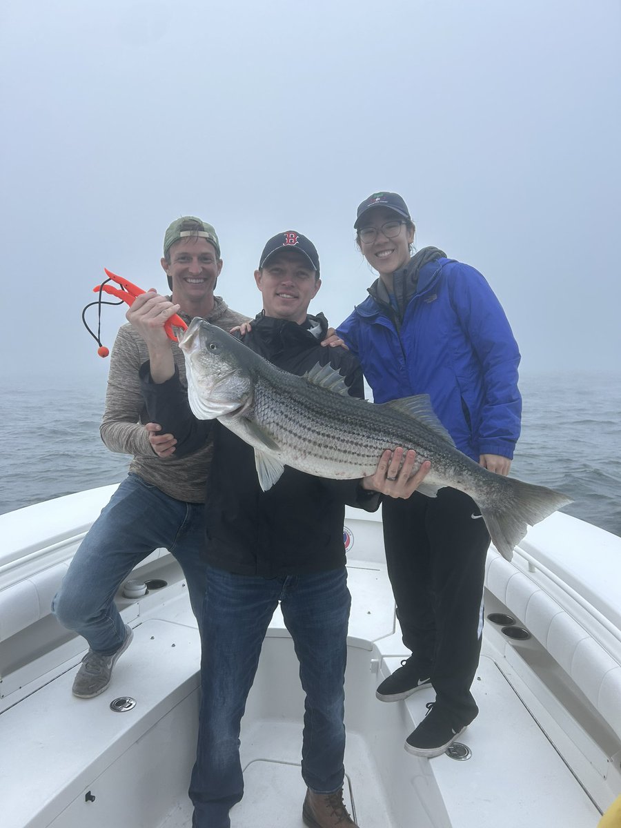 BenjaminShoreMD's tweet image. Annual
Bch peds ortho fellowship fishing trip was another success
Fish ✅
Injuries 0️⃣
We missed a few fellows but great times had by all
Thanks to @jaxcharter
#pedsortho
#stripedbass