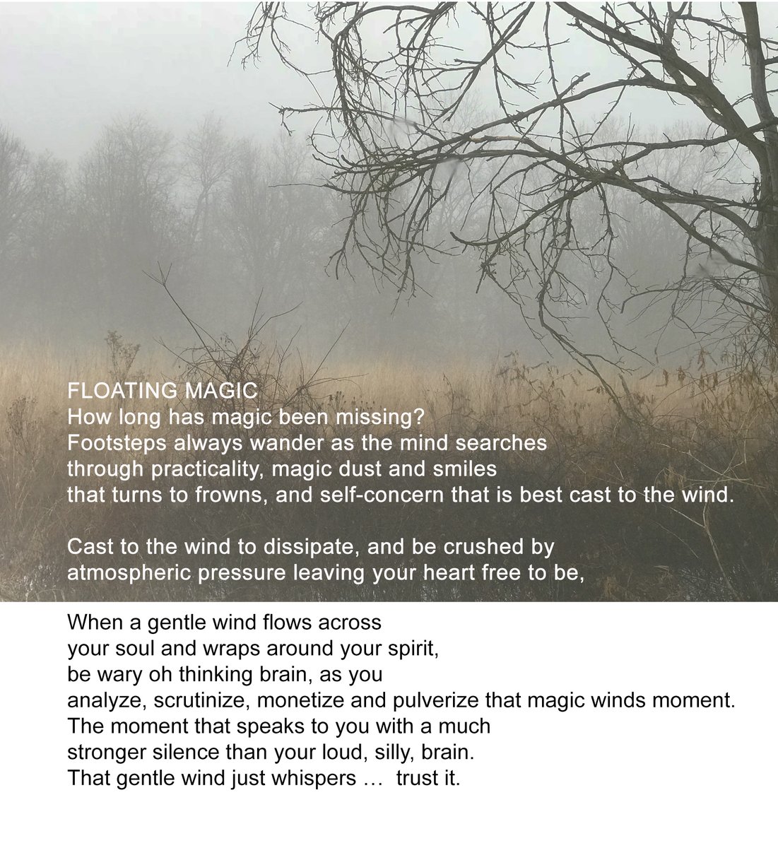 #poetry #poetrylovers #spirituality  Sometimes we need to put the "silly brain" to rest.