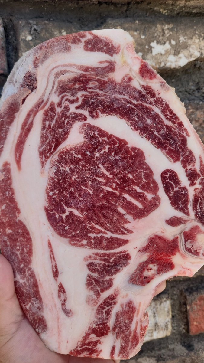 Antes era el Tesoro más preciado ...💥

Mi nombre es..?? 👀