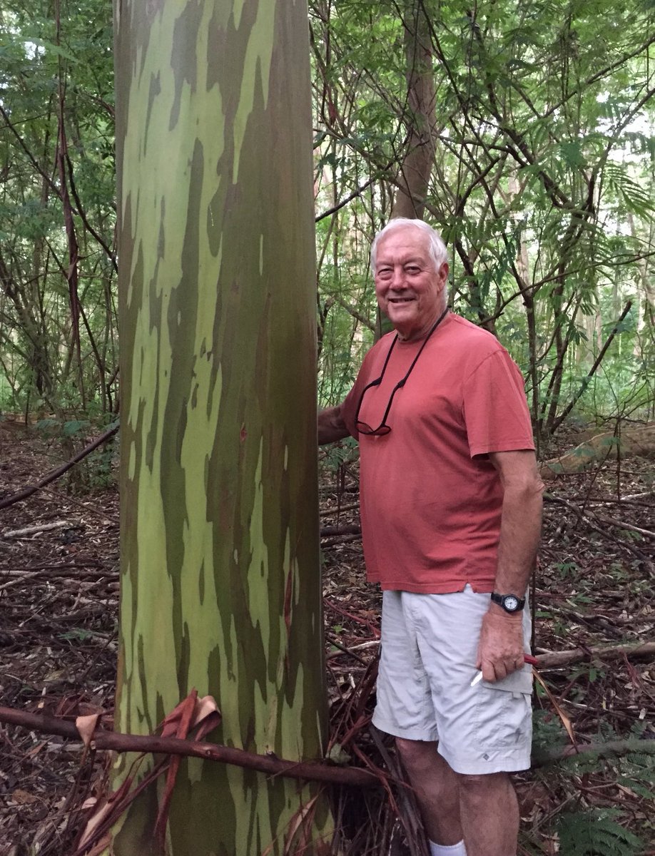 Dianna Cowern tweet media