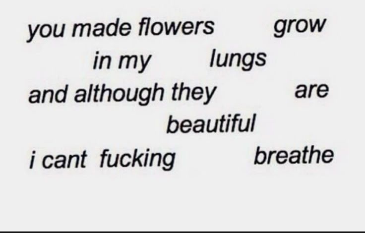 ILoveFireWind's tweet image. Wind Archer: