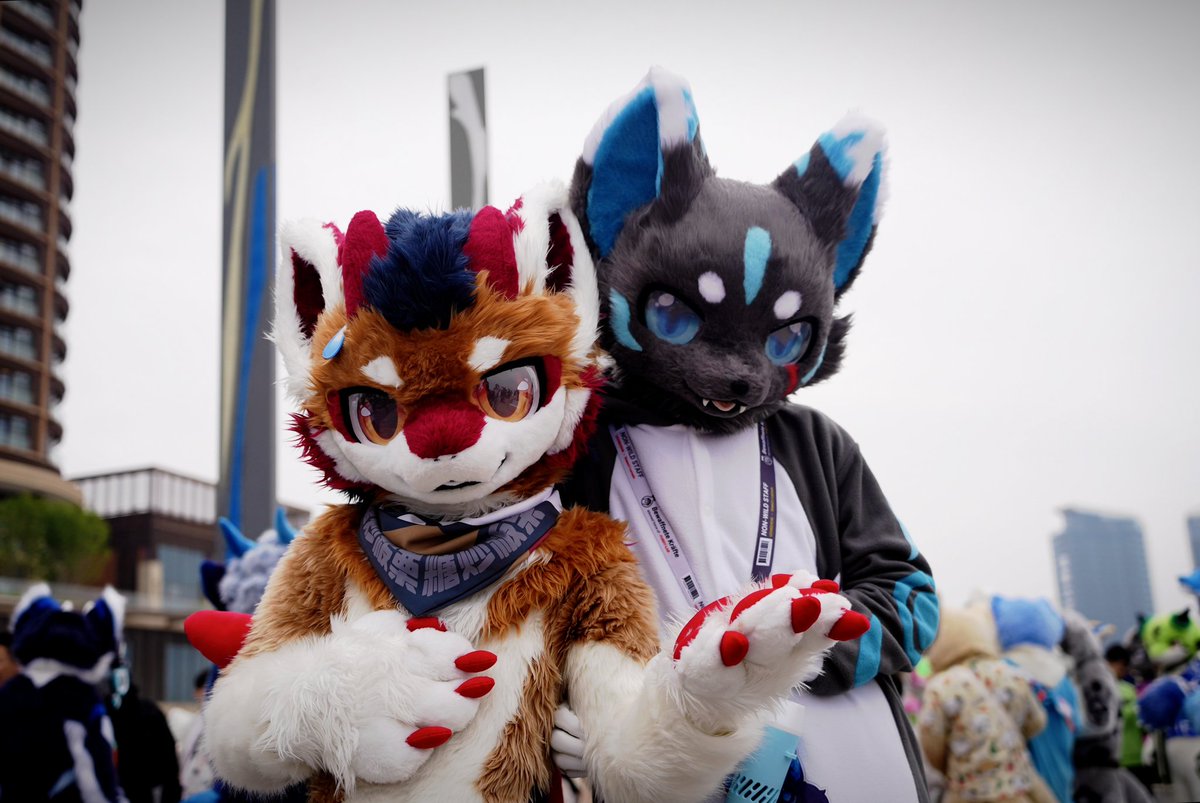 新鲜🌰十元一斤
📷:  <a href="/BANOLLY1/">banolly</a> 
#FursuitFriday