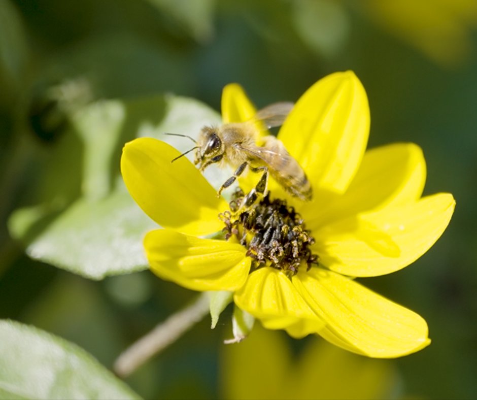Tampa Bay Water tweet media