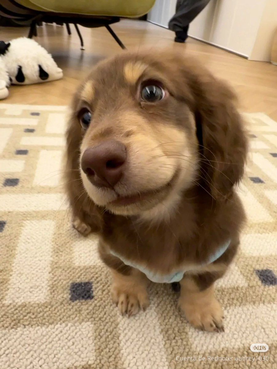 Brenda Farro (@brendafarro) on Twitter photo 