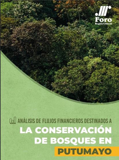 NRGI y Foro Región Central, apoyados por la Fundación Moore, estudiaron los flujos de inversión para la conservación de la Amazonía colombiana.

Conoce el documento completo aquí: acortar.link/3lWMDU