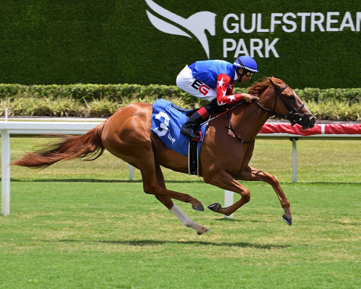Pure Eloquence romps in the second race, ridden by <a href="/EdwinGonzalz1/">Edwin Gonzaléz</a>, trained by <a href="/JackSisterson/">JWS Racing</a>, and owned by David Grund and JWS Racing. #GulfstreamPark #RoyalPalmMeet