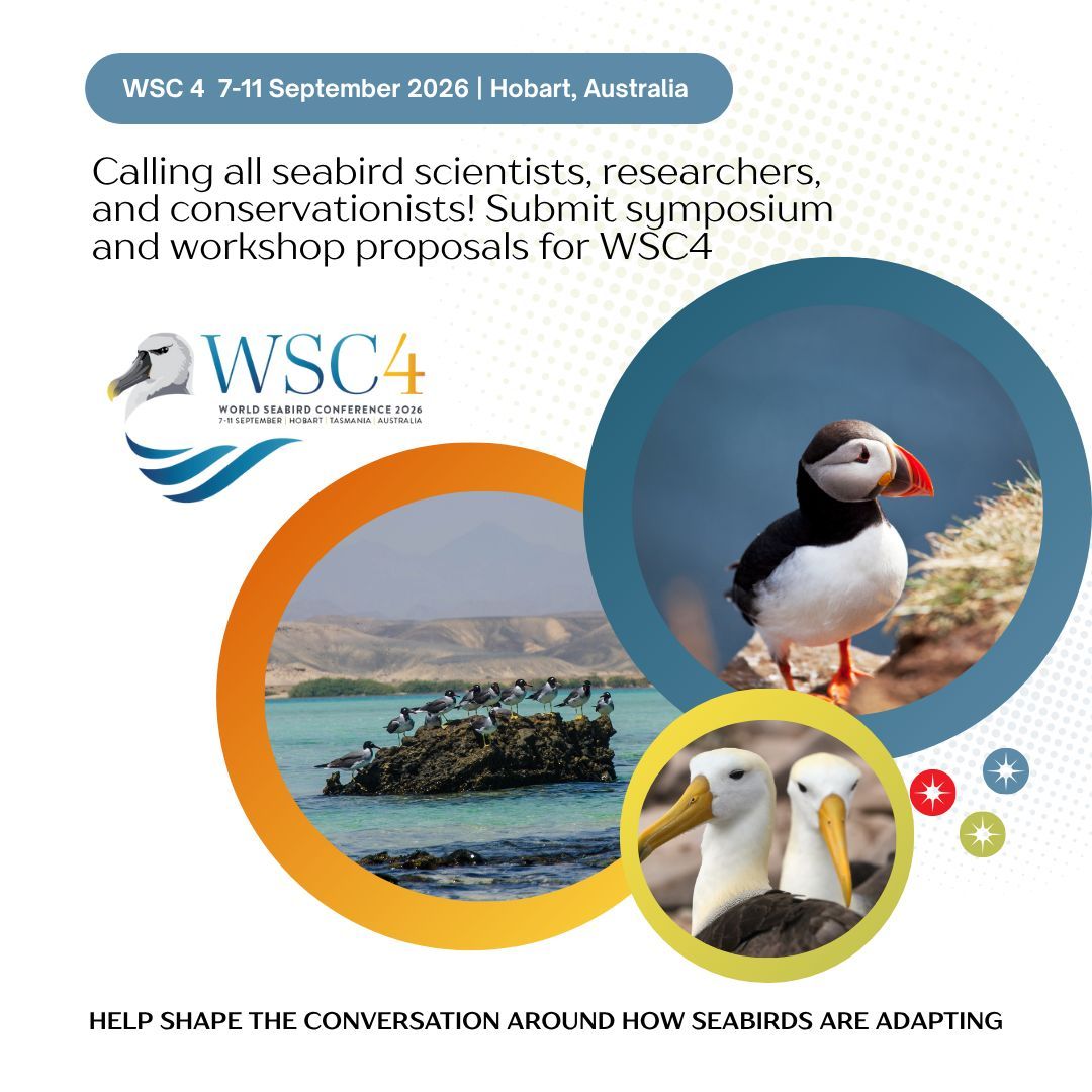 Seabirders's tweet image. 🪶 Seabird scientists & managers! 🌊
Propose a symposium or workshop for #WSC4:
"Wings of Adaptation: Seabirds in a Changing Climate."
Submit a 1-page summary by 01 August 2025.
🔗 Details on our website bit.ly/4e6wQdc
#Seabirds #ClimateChange #Ornithology #WSC2025