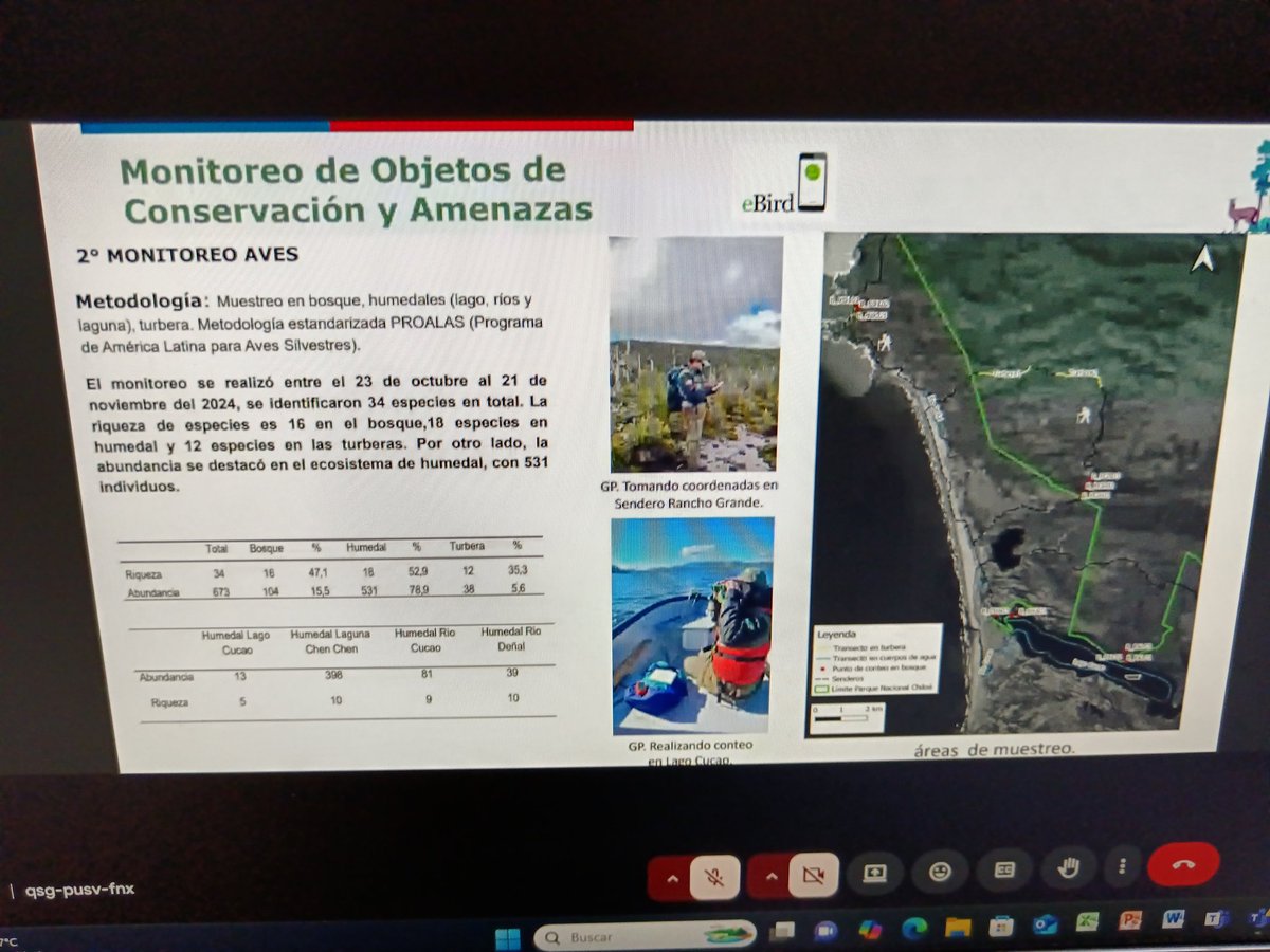 conaf_loslagos's tweet image. El Parque Nacional Chiloé presentó su Cuenta Publica 2024 via online,donde se dio a conocer que 30.987 personas visitaron el parque.La Unidad sigue con el fiel compromiso de protección y conservación de su rica biodiversidad,flora y fauna @conaf_minagri