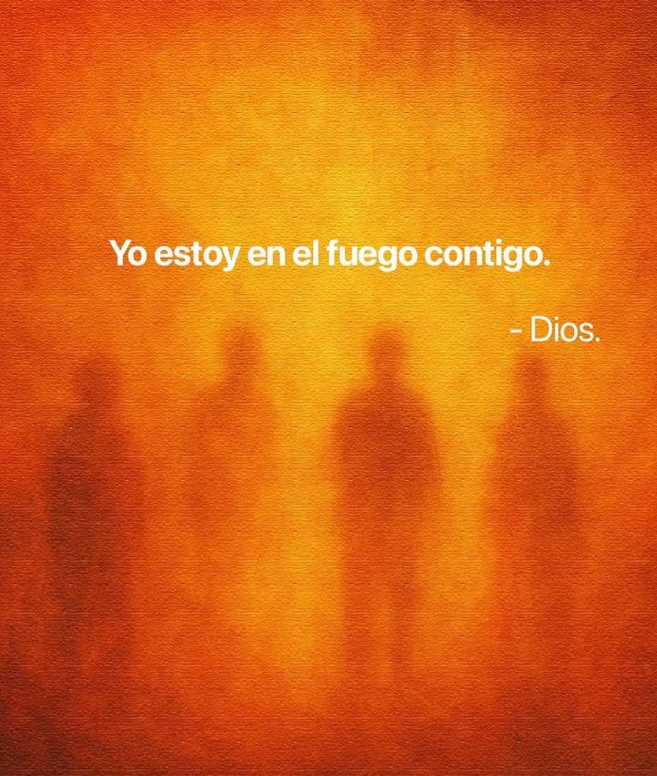 el Siervo (@elsiervo__) on Twitter photo 