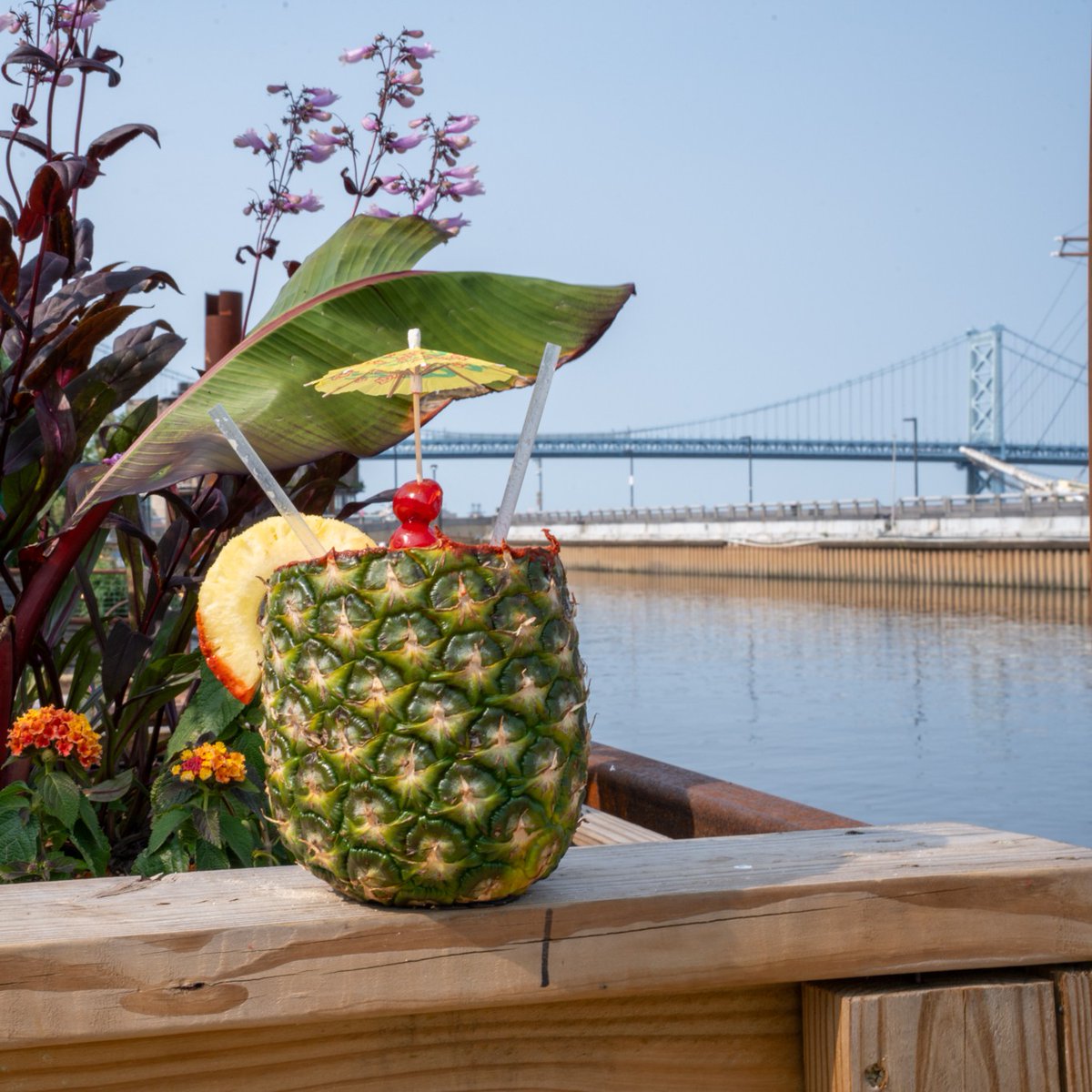 Spruce Street Harbor Park (@ssharborpark) on Twitter photo From loaded tacos to acai bowls to sweet treats and sips served in pineapple (thanks, <a href="/phillytacos/">Philly Tacos</a>), #SSHP has flavor for every craving. Grab a bite, find a seat, and stay a while. Review our vendor menus: bit.ly/3SPKCHg
#MyPhillyWaterfront #VisitPhilly #SSHP From loaded tacos to acai bowls to sweet treats and sips served in pineapple (thanks, <a href="/phillytacos/">Philly Tacos</a>), #SSHP has flavor for every craving. Grab a bite, find a seat, and stay a while. Review our vendor menus: bit.ly/3SPKCHg
#MyPhillyWaterfront #VisitPhilly #SSHP