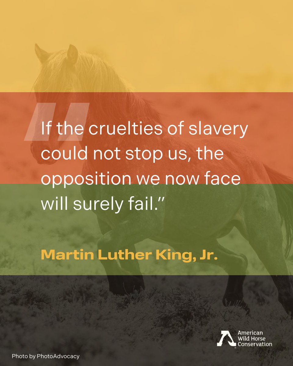 Today marks Black liberation in the U.S. and a major turning point in a long, ongoing struggle for justice. As we work to protect what's wild and free, we look to the legacy of Black resilience, leadership, and liberation as a model for change—and why it matters. #juneteenth