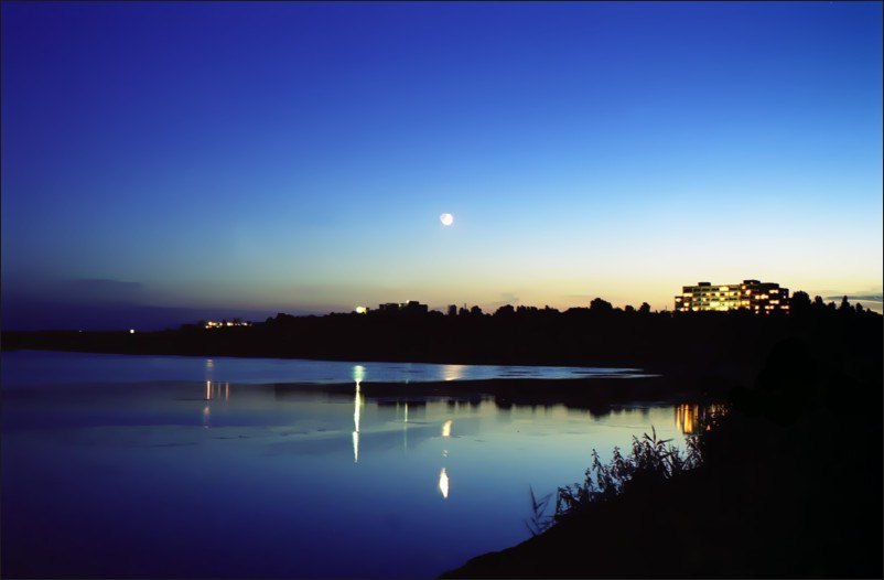 Катерина Галич tweet media